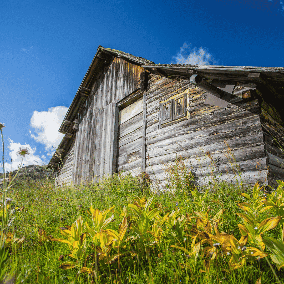 Eine alte Scheune auf einer grünen Wiese mit blauem Himmel