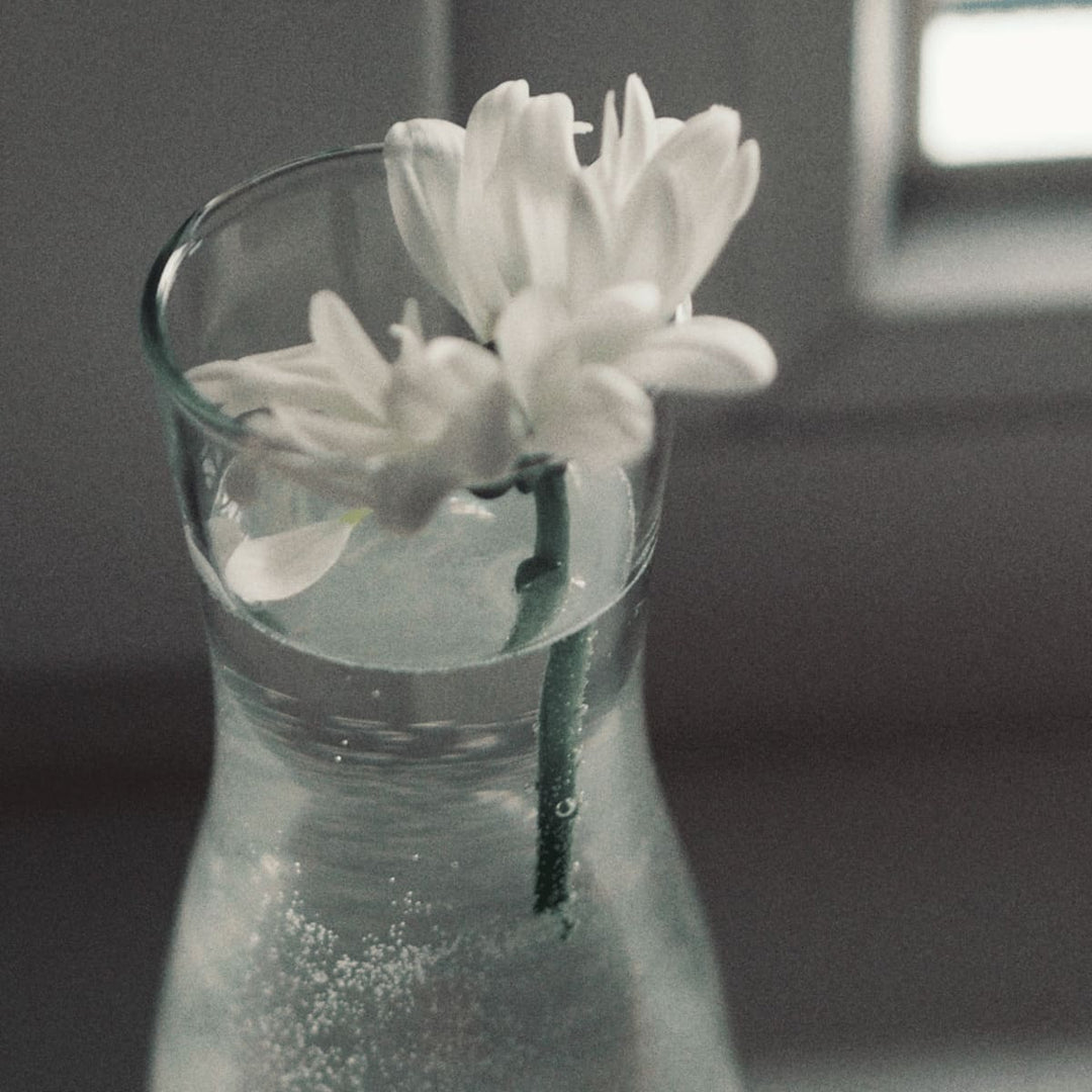 Eine weiße Blume steht in der Glaskaraffe mit Natursteinschale, es ist eine Detailansicht und soll zeigen, dass man die Glaskaraffe vielfältig nutzen kann.