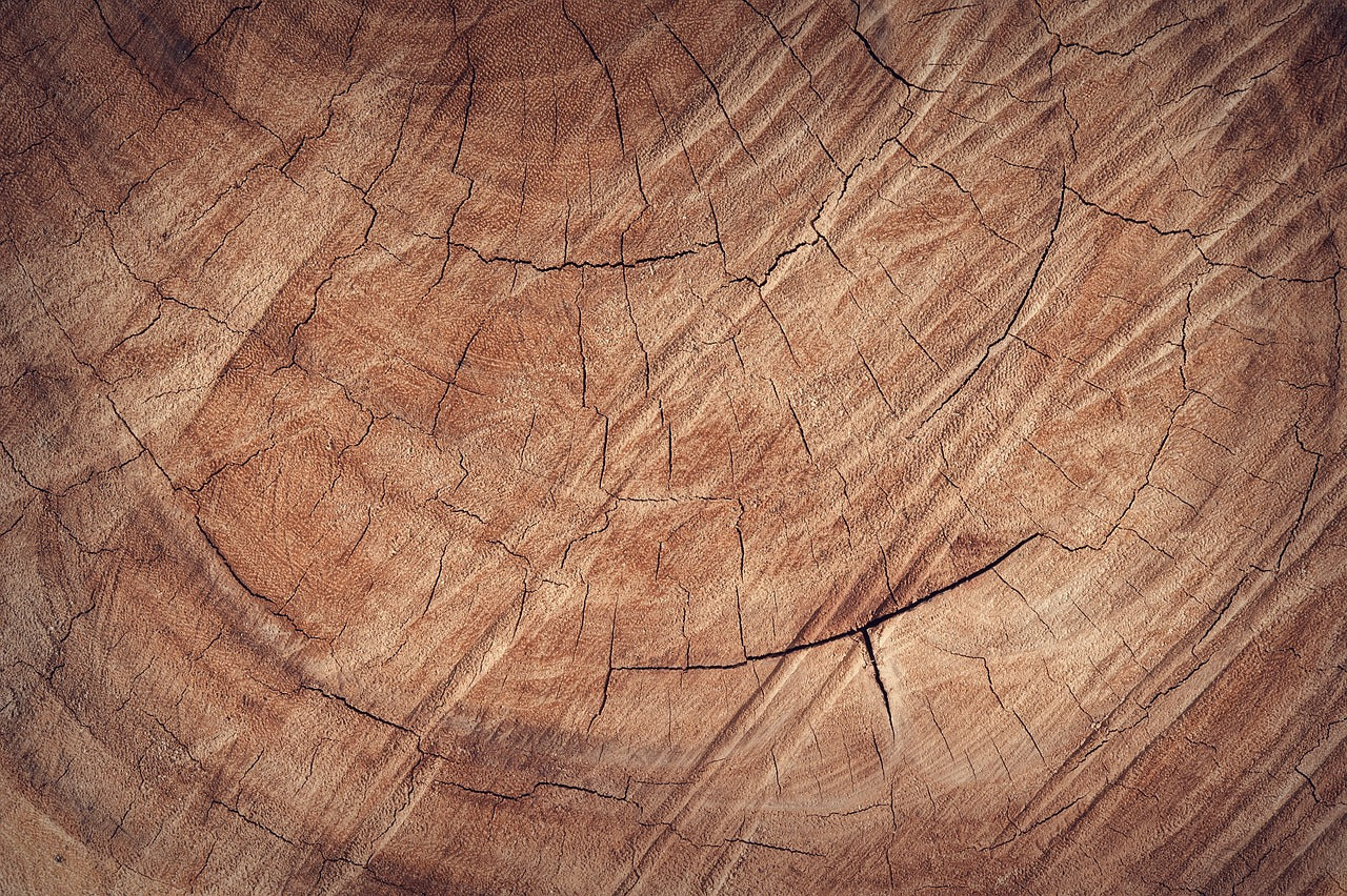 Altholz Eiche Nahaufnahme von Jahresringen und der Holzmaserung, aus diesem Holz sind die Produkte von  Juvahem 
