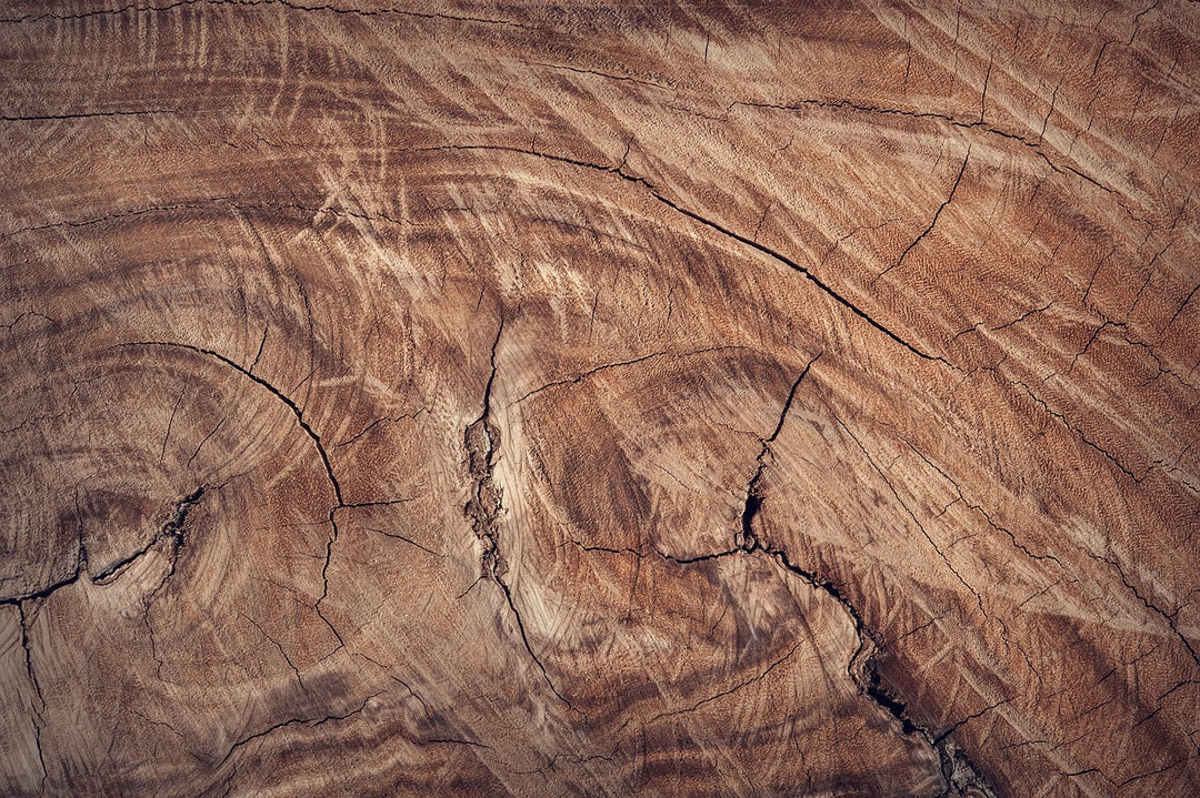 Detailansicht Nahsicht von Holz, Eiche Altholz, Holzmaserungen sind erkennbar